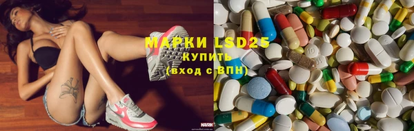 ECSTASY Алзамай