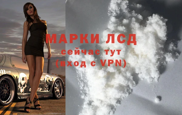 ECSTASY Алзамай