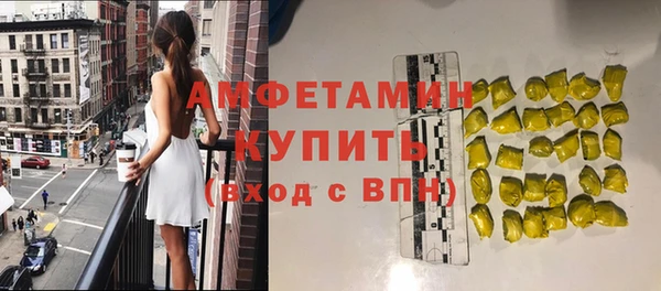 ECSTASY Алзамай