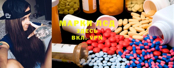 ECSTASY Алзамай