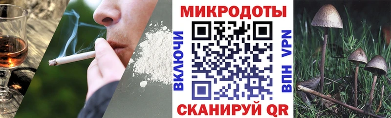Псилоцибиновые грибы Psilocybine cubensis  хочу   Новая Ляля 